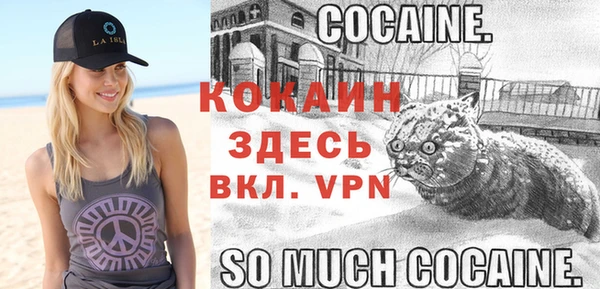 дживик Белоозёрский
