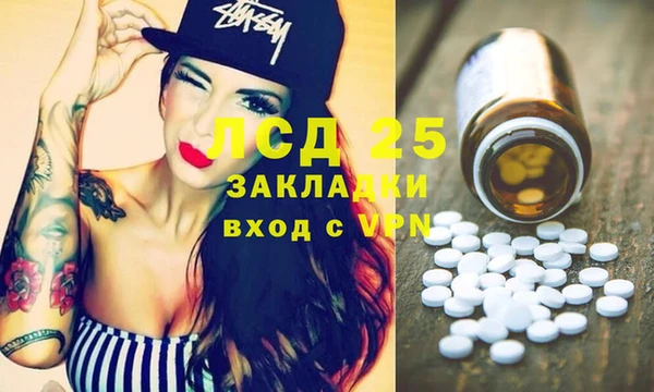 ПСИЛОЦИБИНОВЫЕ ГРИБЫ Белокуриха