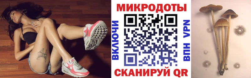 Галлюциногенные грибы прущие грибы  Покровск 